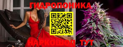 jwh Гусев